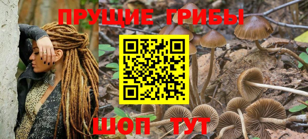 Кстово  купить   Вход с VPN  Псилоцибиновые грибы Magic Shrooms 
