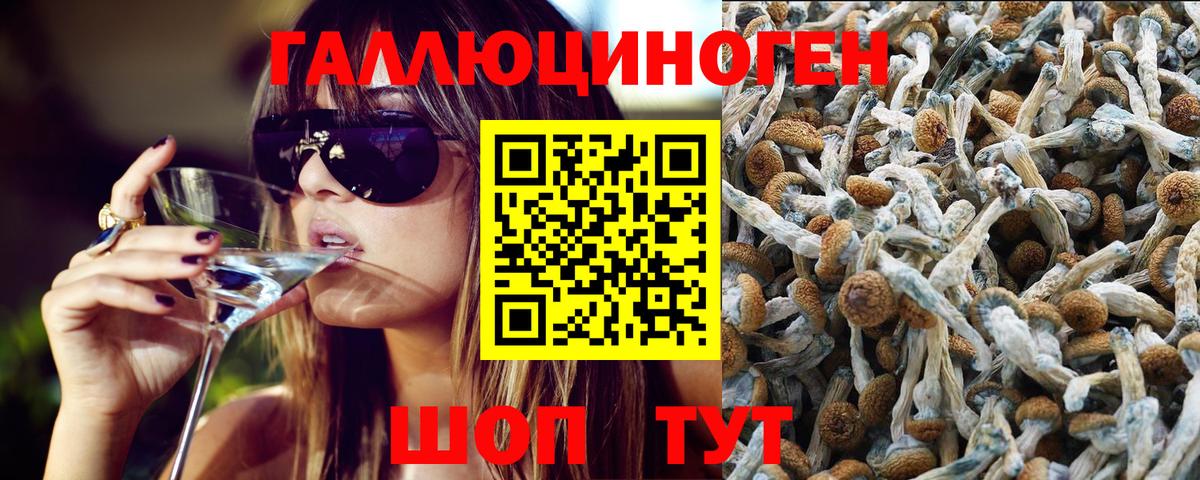 Галлюциногенные грибы мицелий Кстово